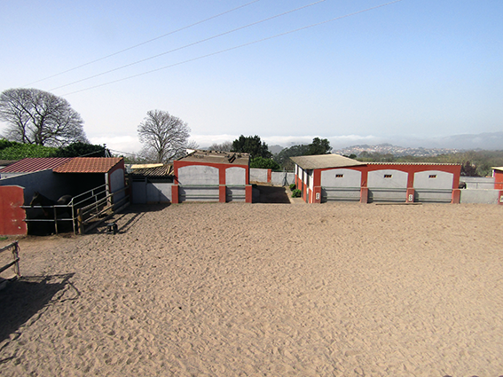 Cuadras para pensión